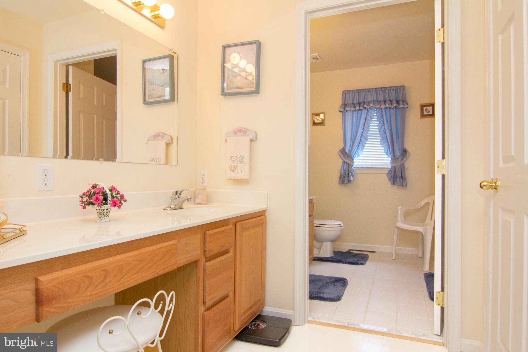 2140 Liberty Road Sykesville, MD 21784 - Photo 14 of 29 Bath (Master)