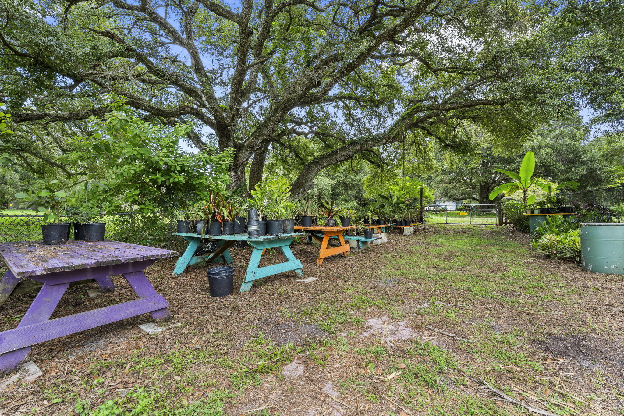 3603 Kirby Loop Road Fort Pierce, FL 34981 - Photo 51 of 61 55-web-or-mls-DSC09475