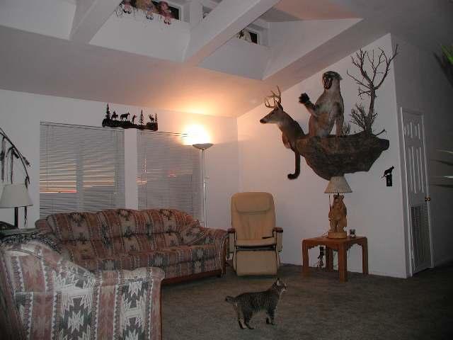 796 County Road, Unit 259 Rifle, CO 81650 - Photo 4 of 8 a living room with furniture