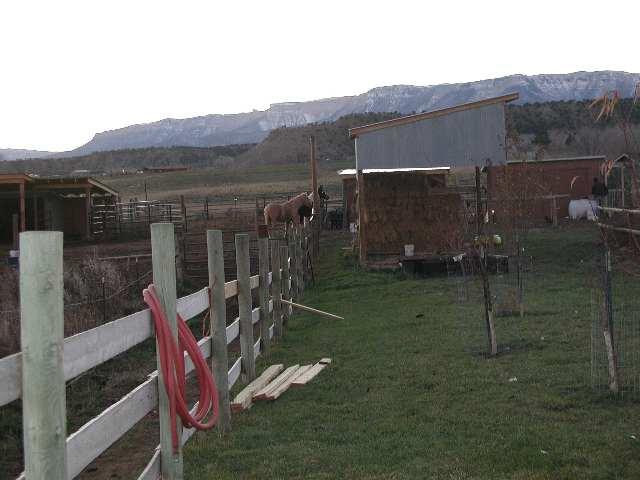 796 County Road, Unit 259 Rifle, CO 81650 - Photo 8 of 8 a view of a chair and table in backyard of the house