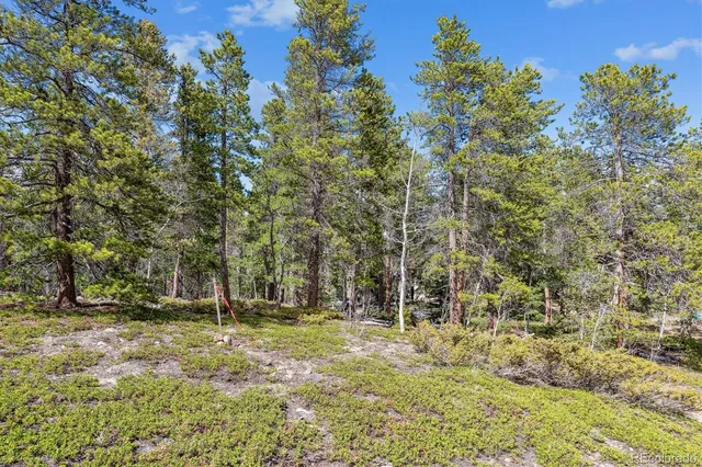 $150,000 | Rock Lake Road, Ward, CO 80481