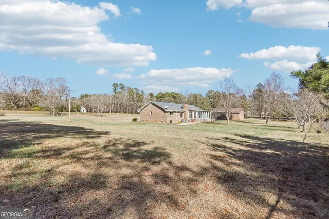 a view of a town with big tree