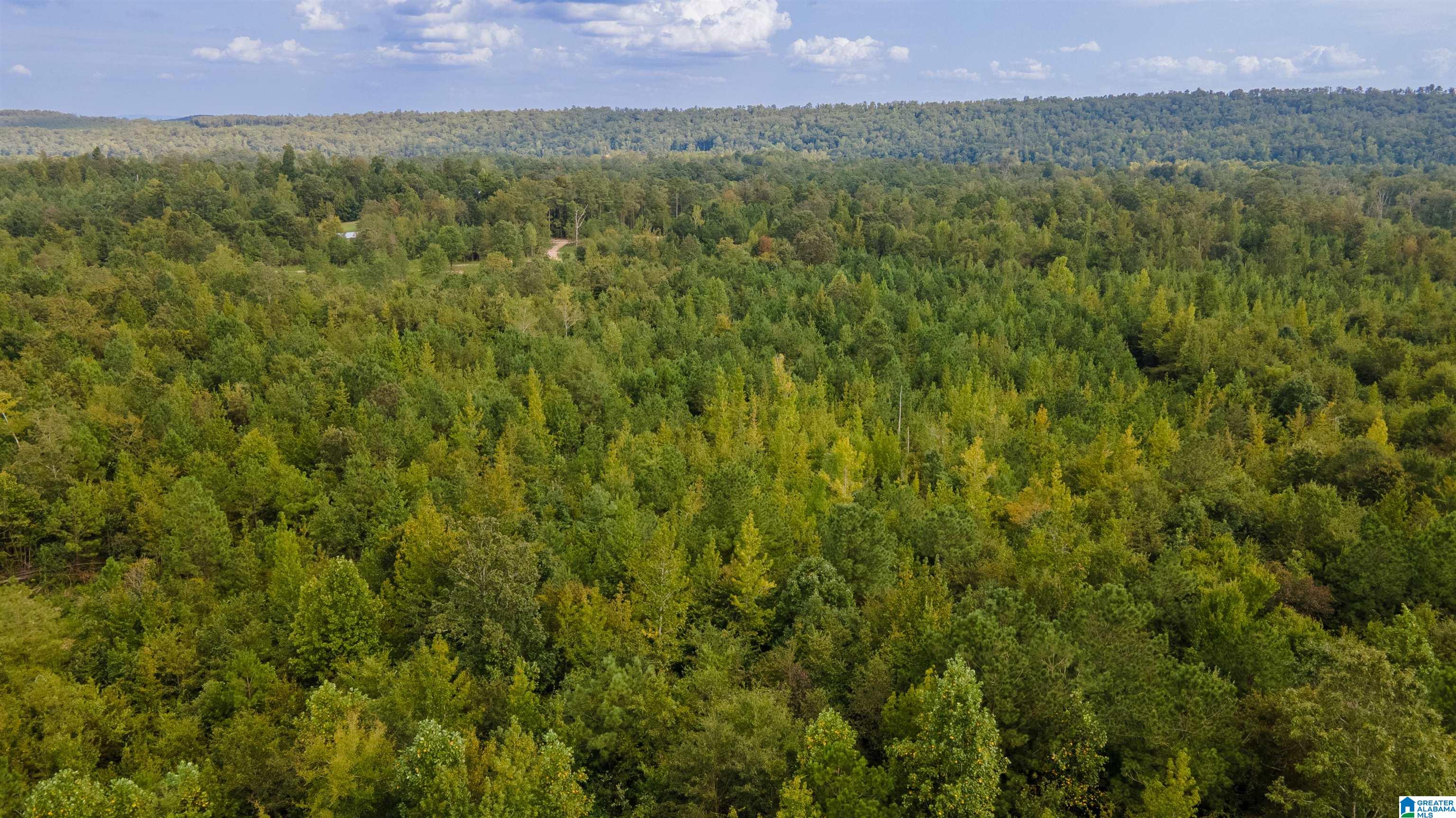 10675 Shoal Creek Road, Unit X Ashville, AL 35953 - Photo 10 of 19