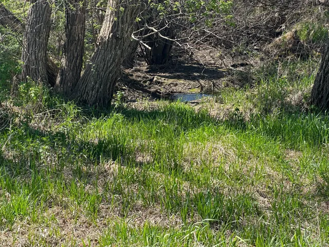 $459,000 | 22451 340th Avenue, Revere, MN 56166