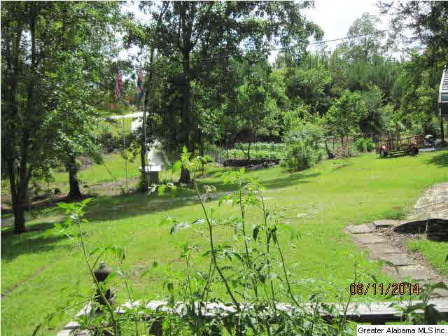 4679 Nubbin Creek Road Lineville, AL 36266 - Photo 12 of 18
