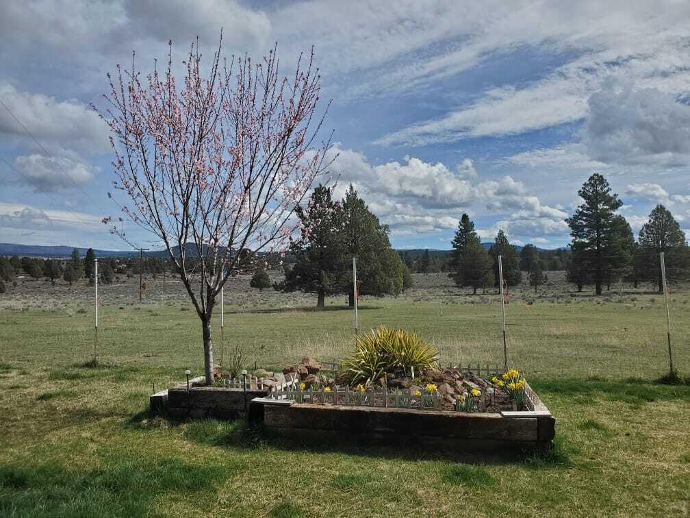 17703 Fishhole Creek Road Bly, OR 97622 - Photo 11 of 34 IMG-20260325-WA0013