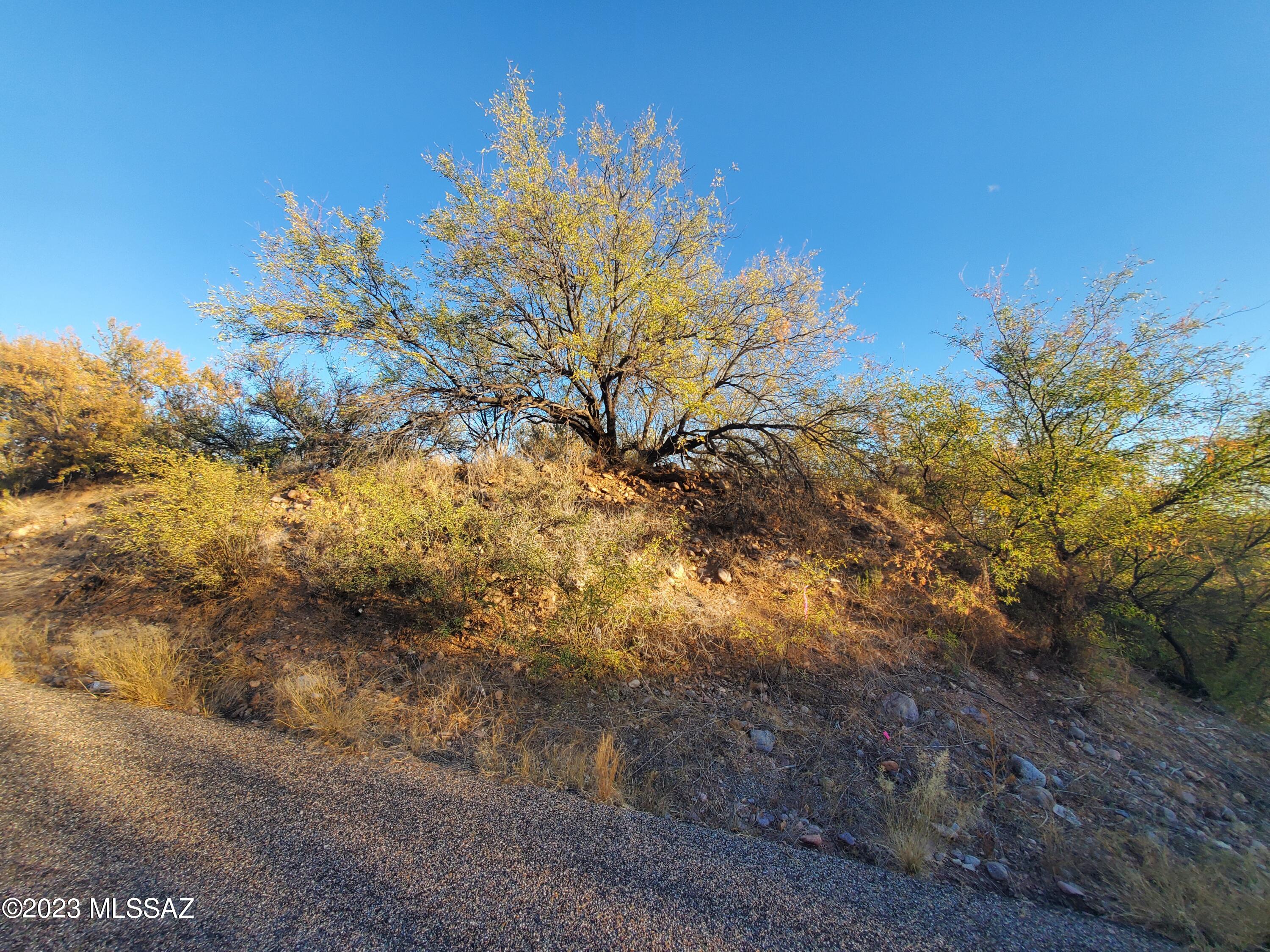 1415 Calle Cuervo, Unit 1 Rio Rico, AZ 85648 - Photo 5 of 12 Gallery Image 5