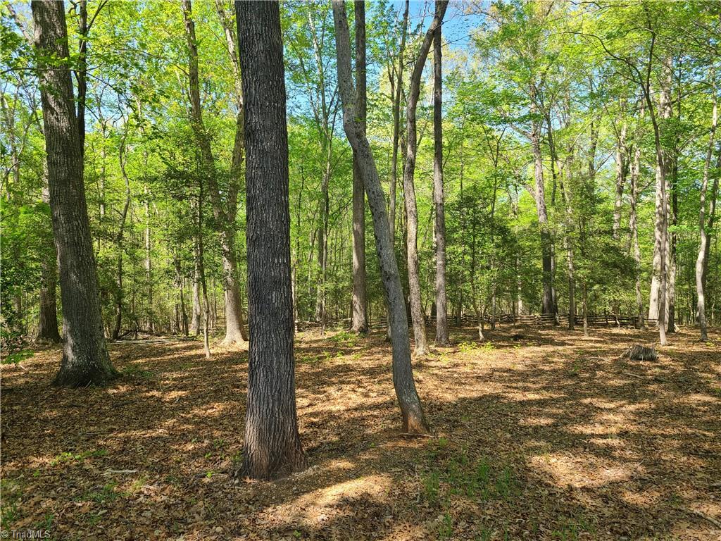 7795 Jugtown Road Seagrove, NC 27341 - Photo 11 of 17