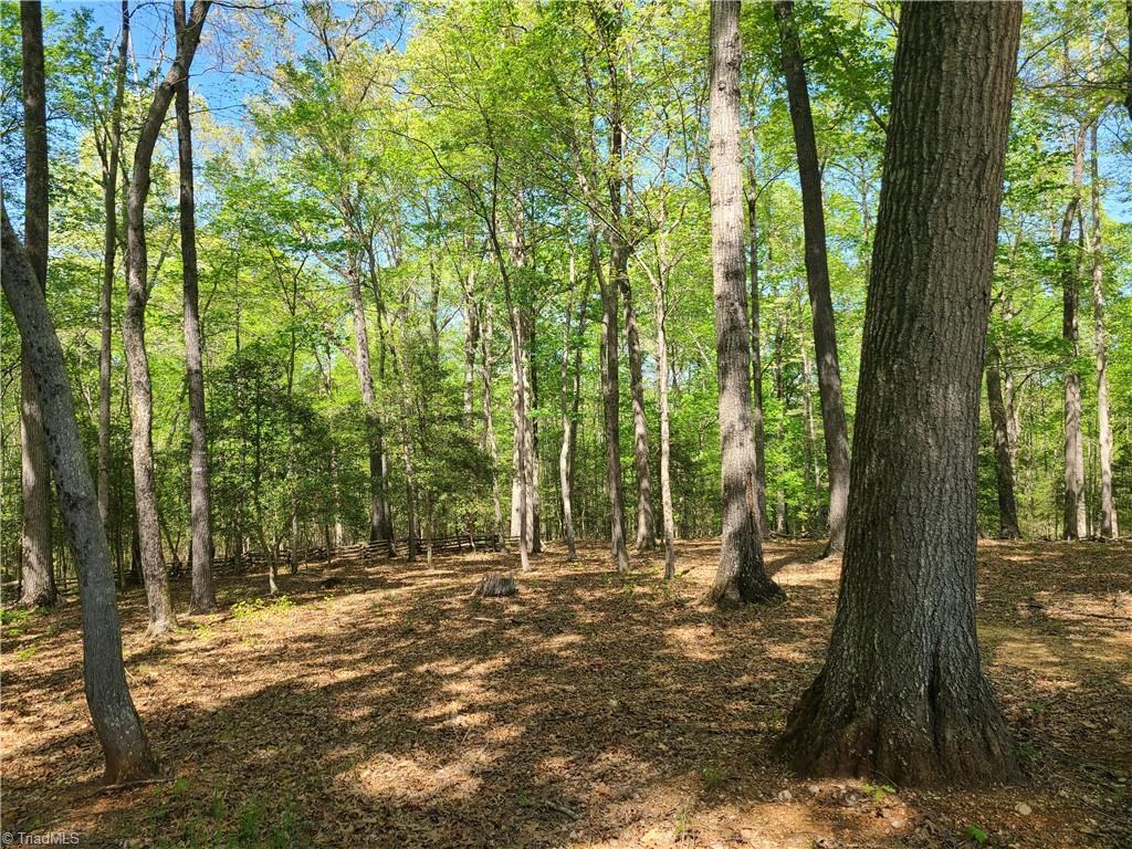 7795 Jugtown Road Seagrove, NC 27341 - Photo 10 of 17