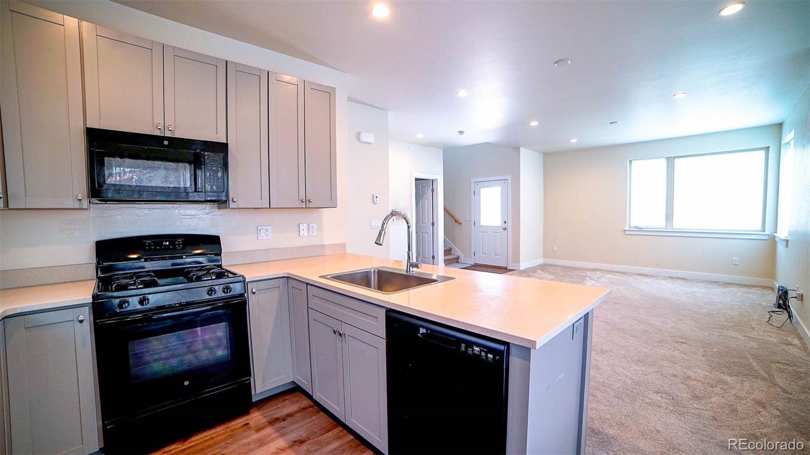 233 Smith Ranch Road Silverthorne, CO 80498 - Photo 3 of 14 Gallery Image 3