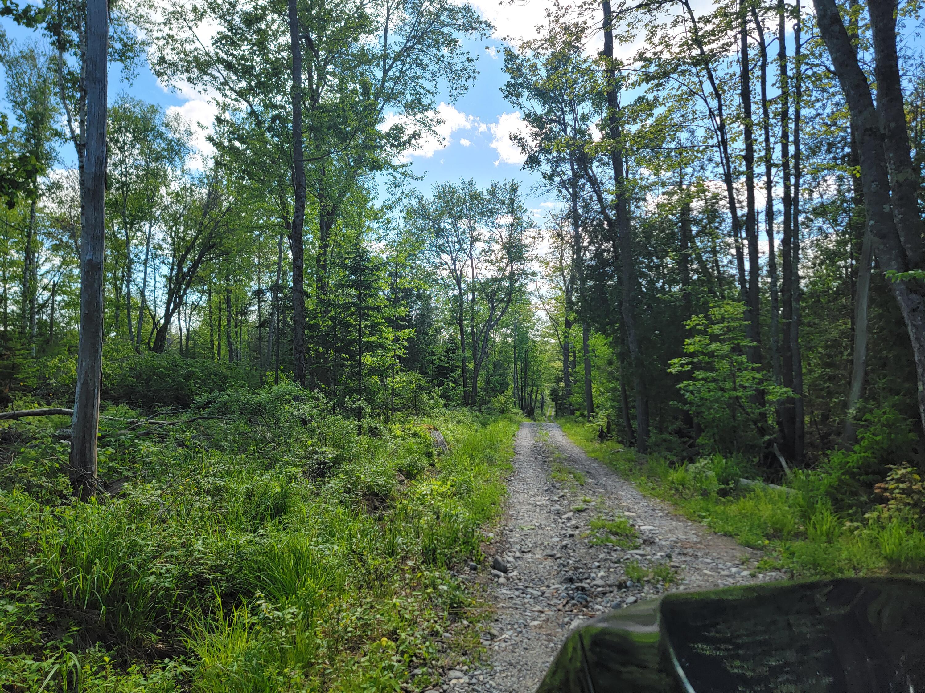 Lot 2 Bayside Road Ellsworth, ME 04605 - Photo 6 of 6 20240529_160458
