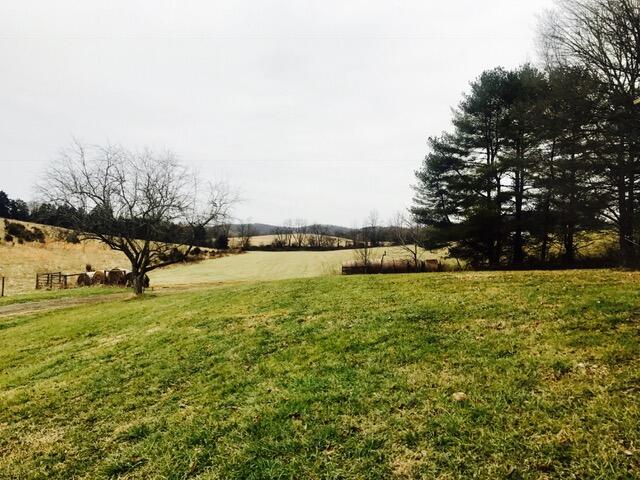 7229 Springwood Road Buchanan, VA 24066 - Photo 2 of 40 a view of a field with an ocean