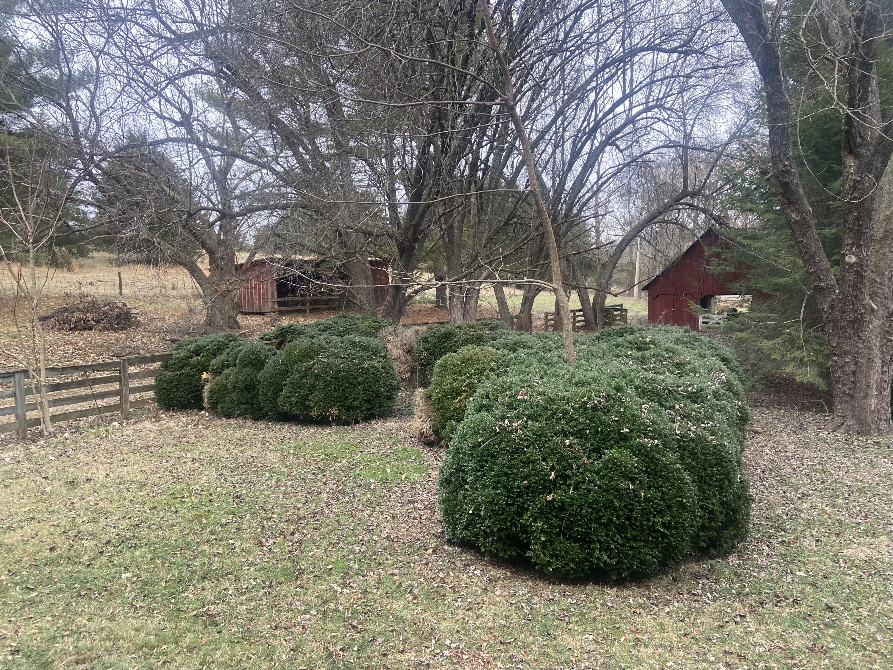 7229 Springwood Road Buchanan, VA 24066 - Photo 33 of 40 a view of a garden