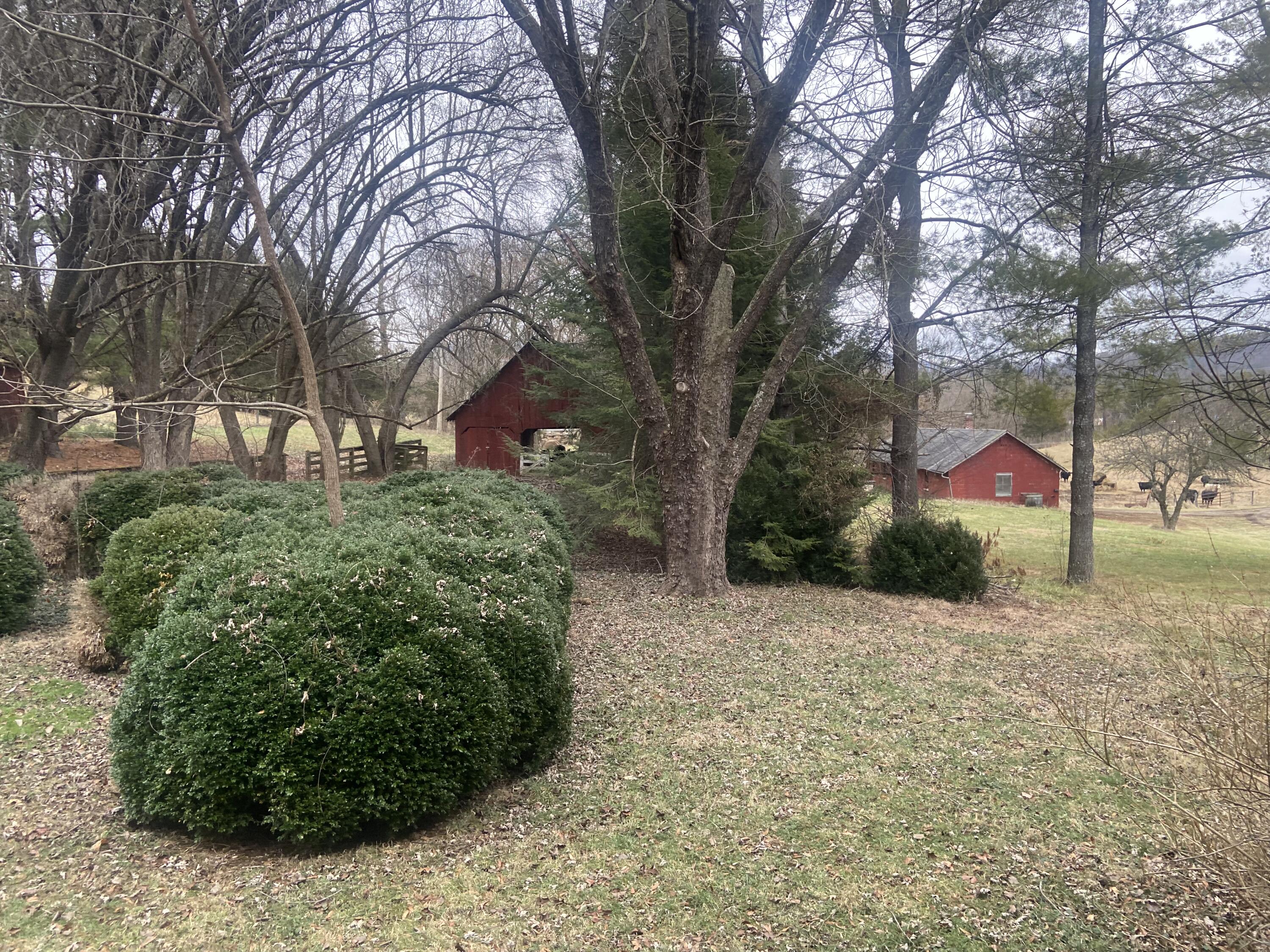 7229 Springwood Road Buchanan, VA 24066 - Photo 37 of 40 a street view with large trees