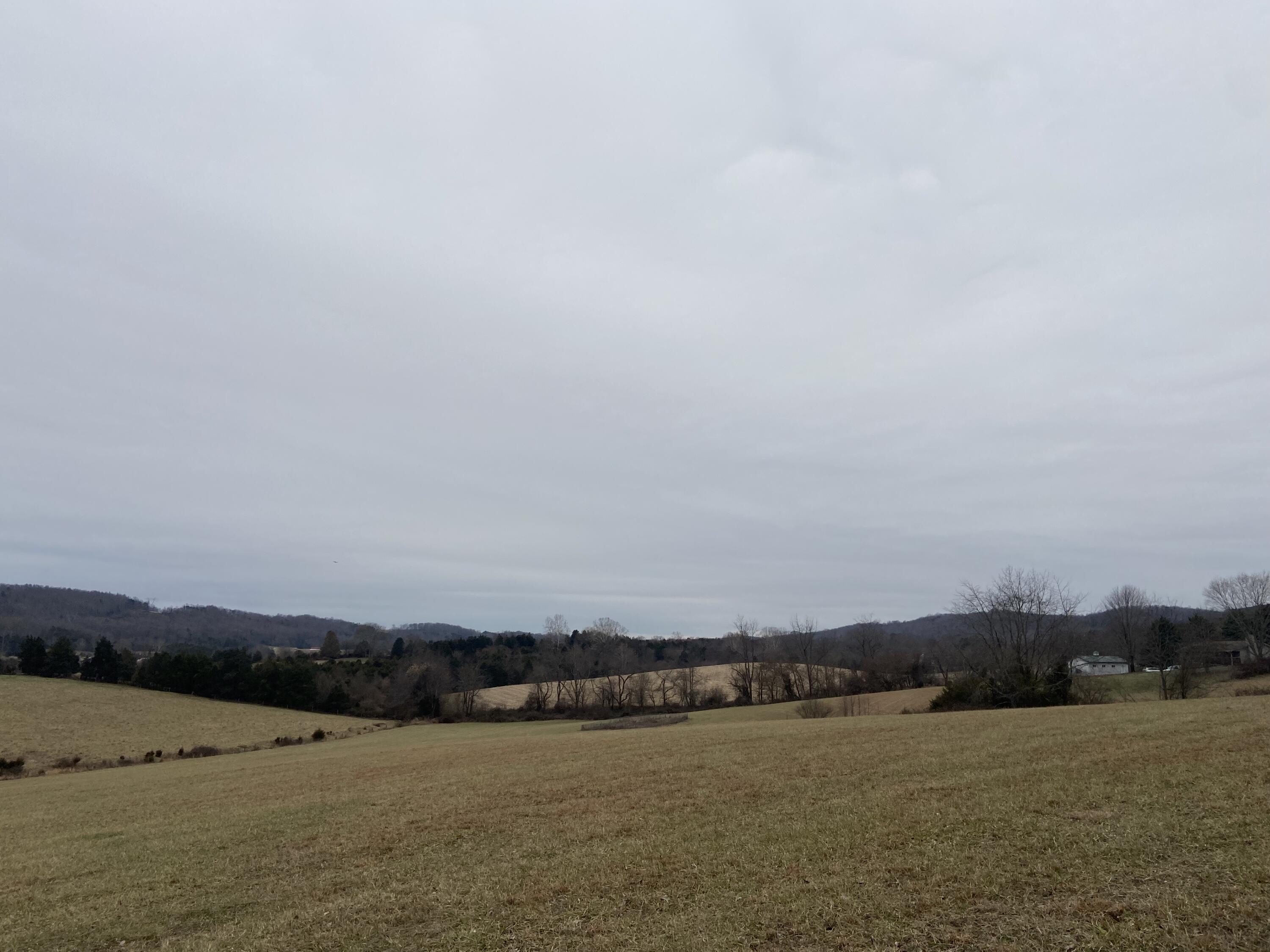 7229 Springwood Road Buchanan, VA 24066 - Photo 4 of 40 a view of lake and mountain view