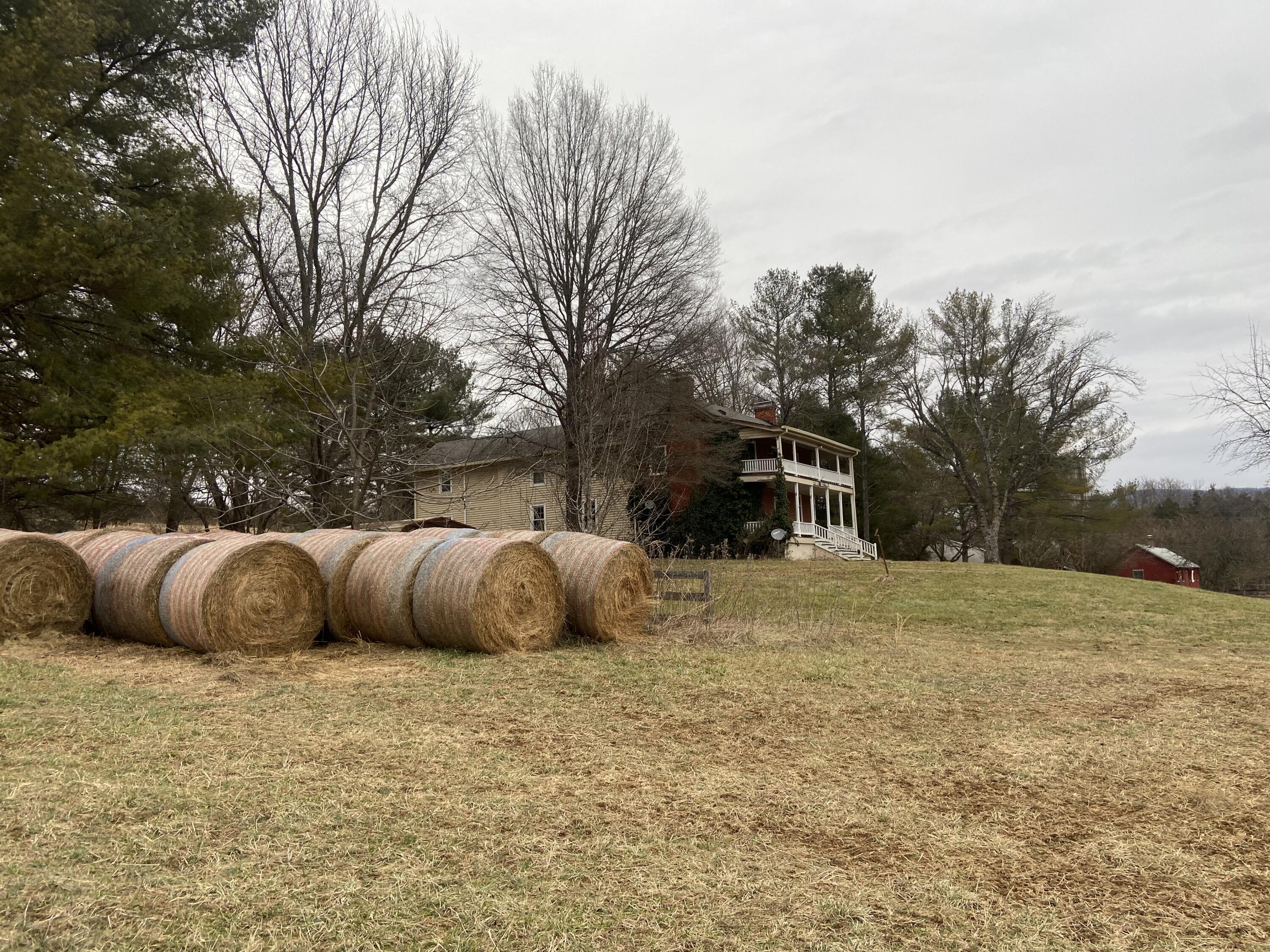 7229 Springwood Road Buchanan, VA 24066 - Photo 5 of 40 a yellow house sitting in middle of a yard