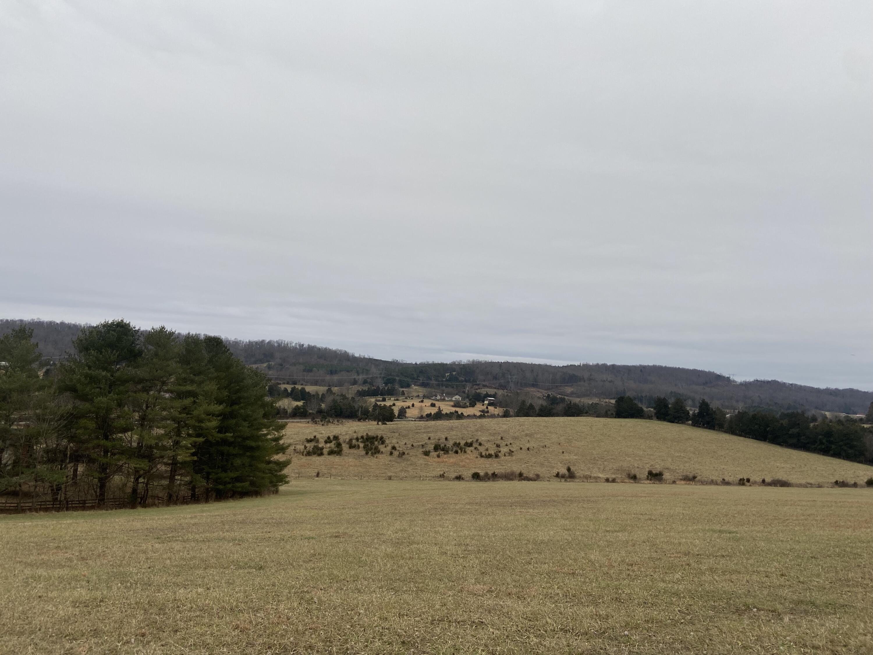 7229 Springwood Road Buchanan, VA 24066 - Photo 6 of 40