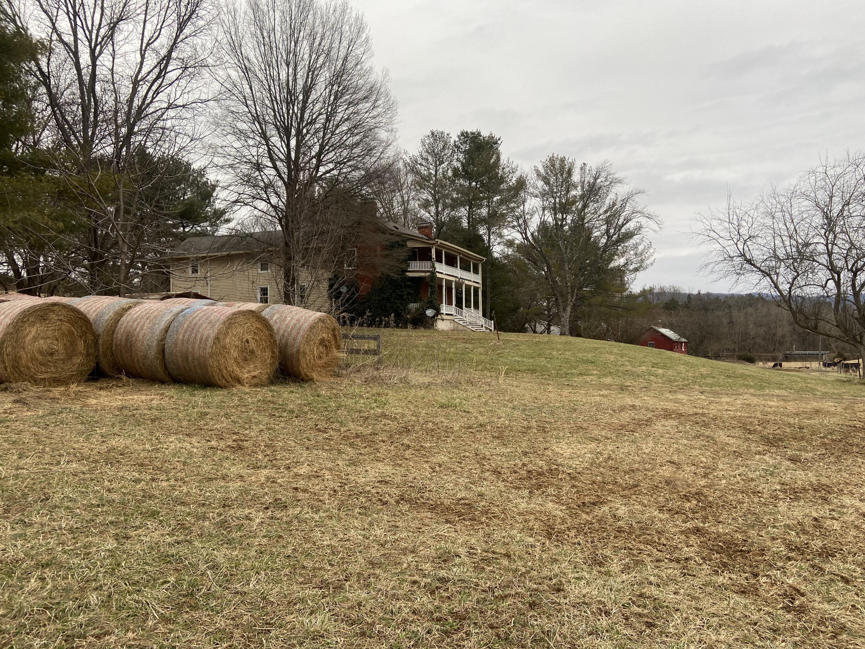 7229 Springwood Road Buchanan, VA 24066 - Photo 7 of 40