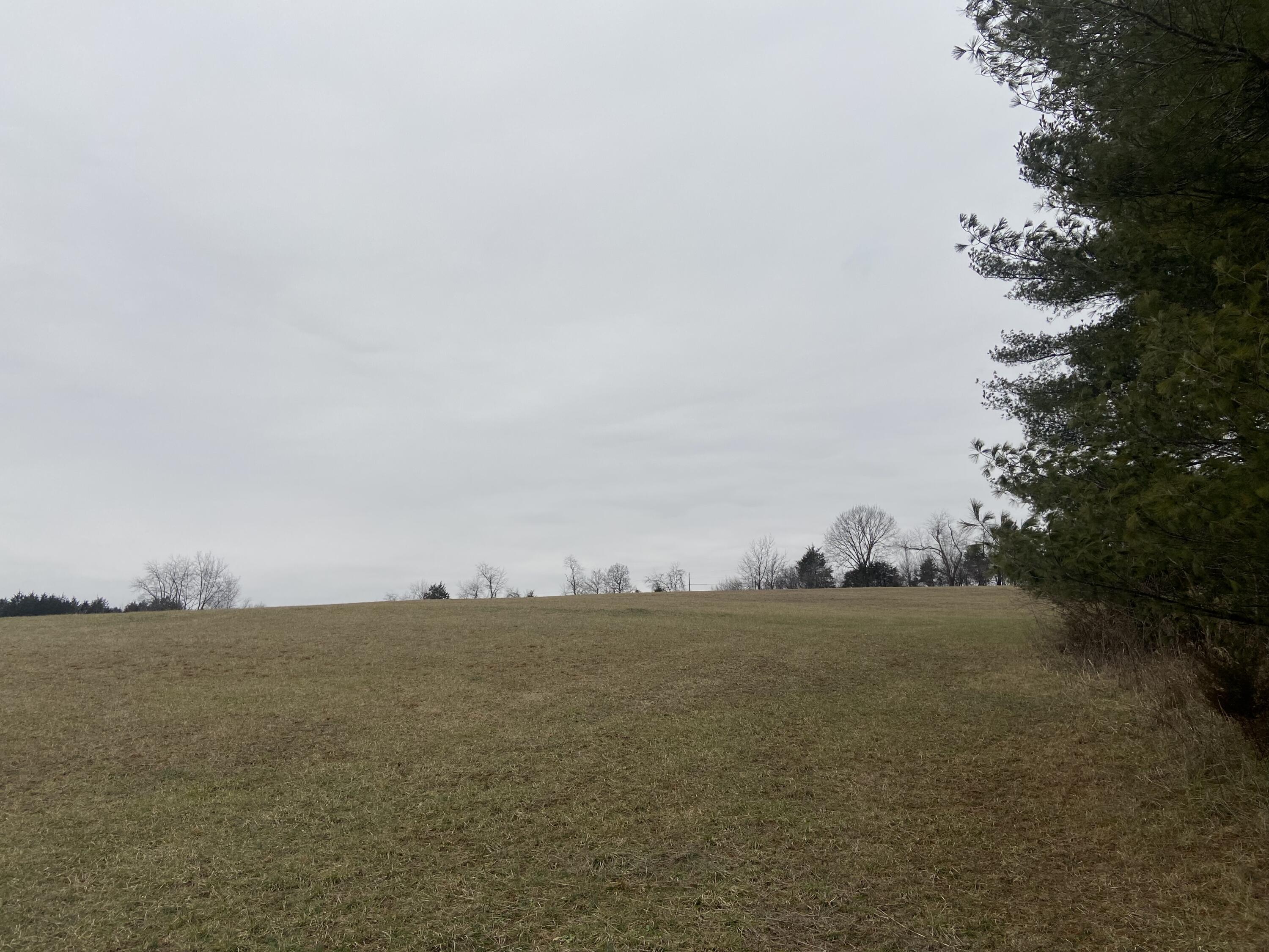 7229 Springwood Road Buchanan, VA 24066 - Photo 9 of 40 a view of ocean with green space