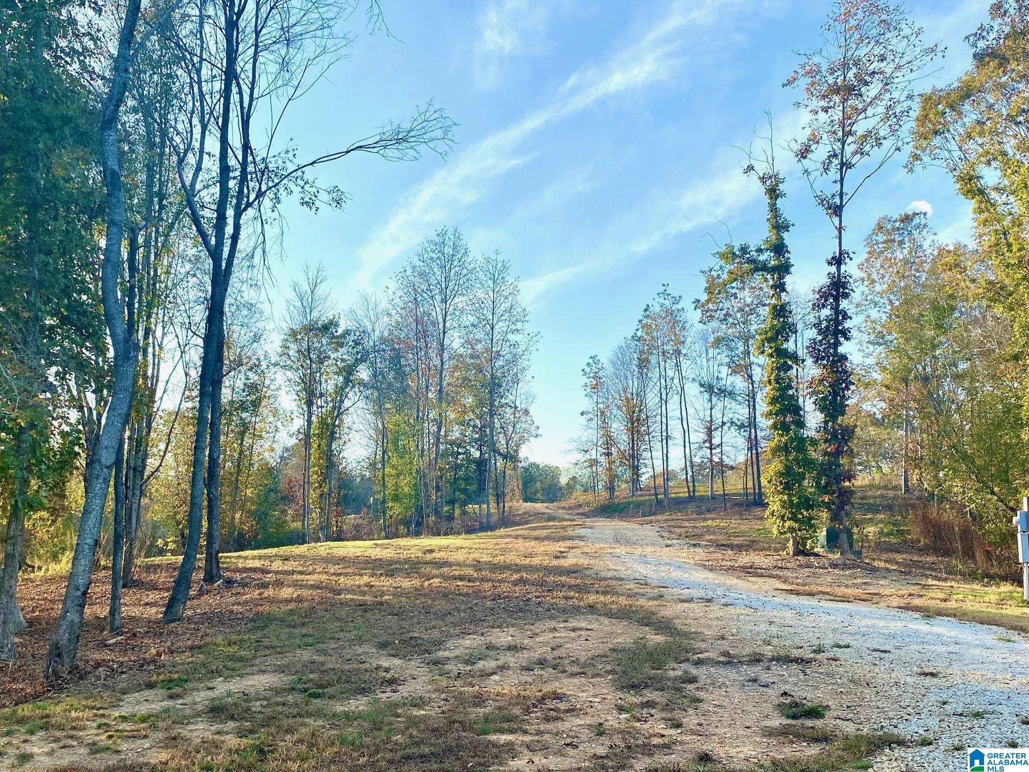 325 County Road 13 Heflin, AL 36264 - Photo 19 of 56