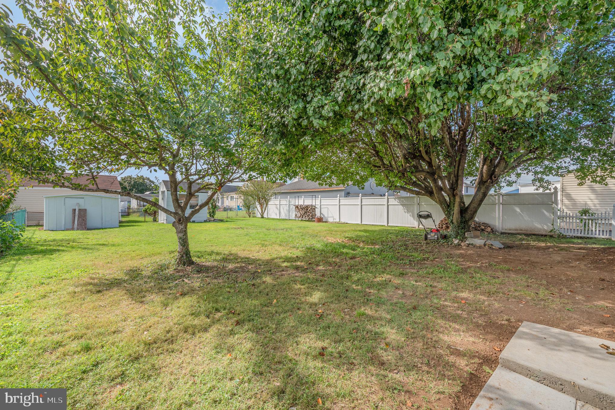 1205 North Point Road Dundalk, MD 21222 - Photo 5 of 19 a tall tree in middle of the garden