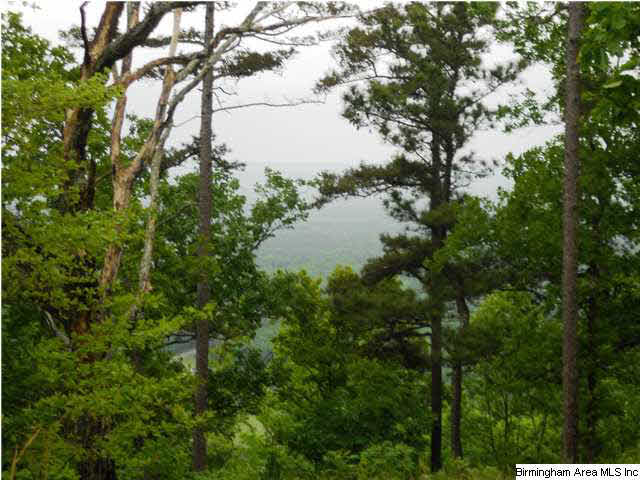 24 County Road, Unit 20 Springville, AL 35146 - Photo 10 of 20 Gallery Image 10
