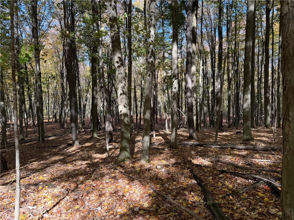 0 Eelpot Road Naples, NY 14512 - Photo 11 of 26