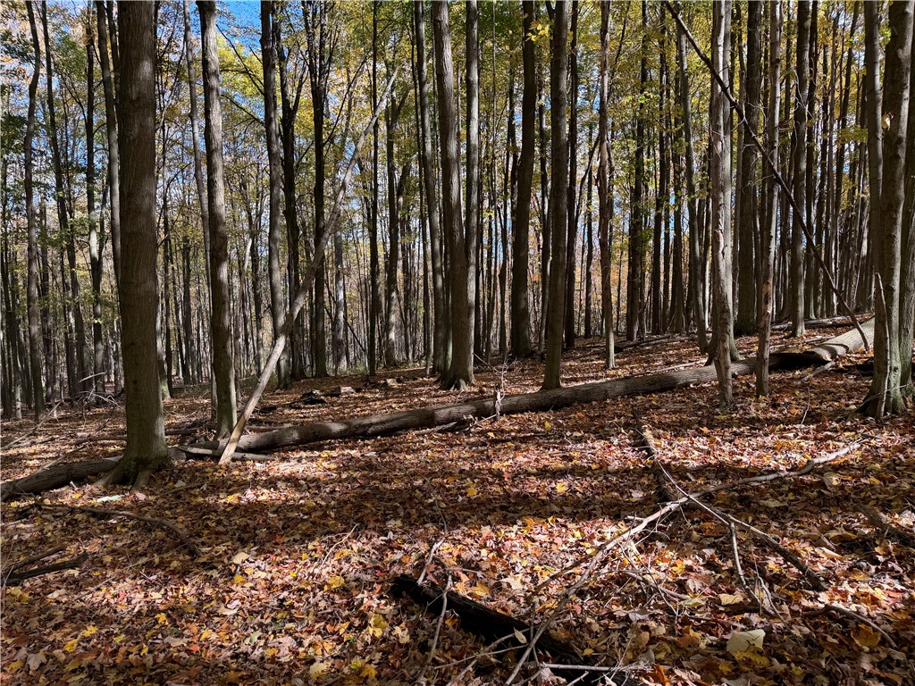 0 Eelpot Road Naples, NY 14512 - Photo 12 of 26