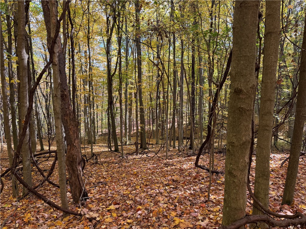 0 Eelpot Road Naples, NY 14512 - Photo 14 of 26