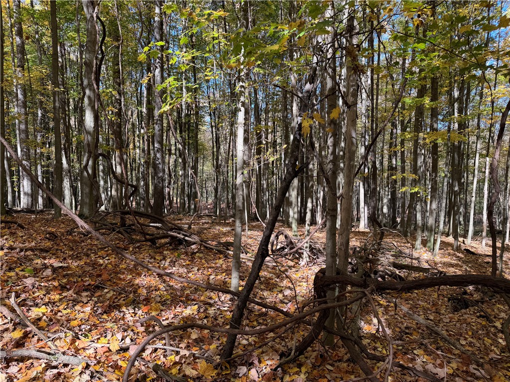 0 Eelpot Road Naples, NY 14512 - Photo 15 of 26