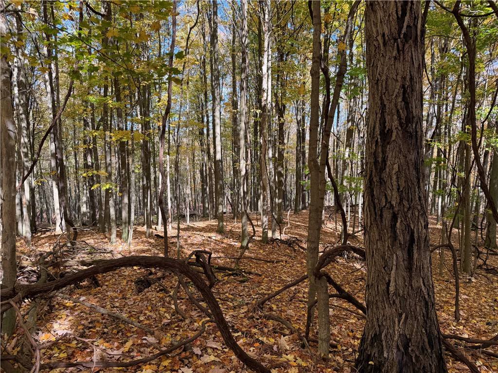 0 Eelpot Road Naples, NY 14512 - Photo 16 of 26