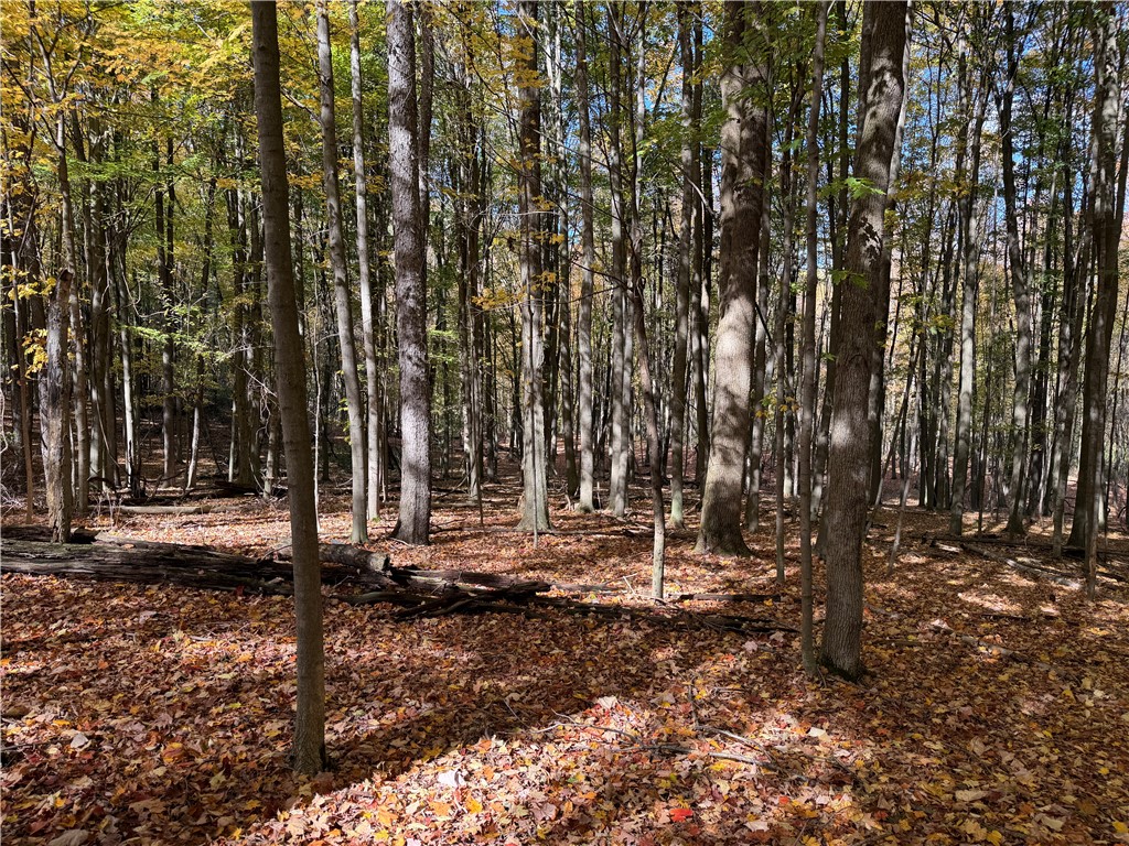 0 Eelpot Road Naples, NY 14512 - Photo 17 of 26