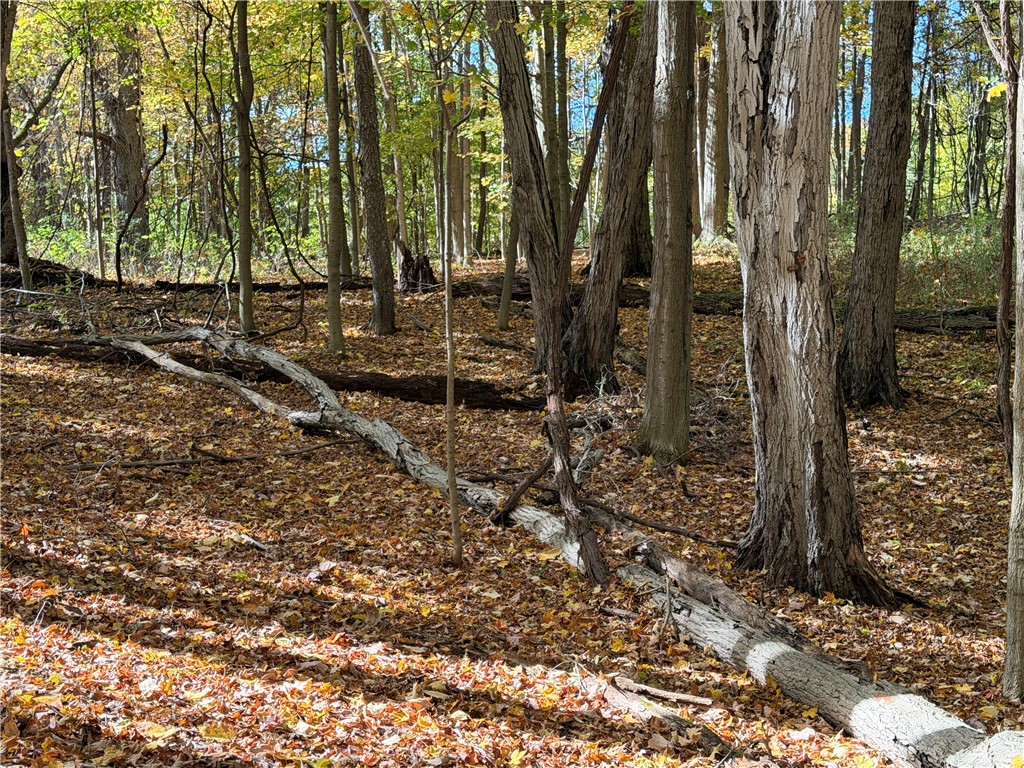 0 Eelpot Road Naples, NY 14512 - Photo 19 of 26