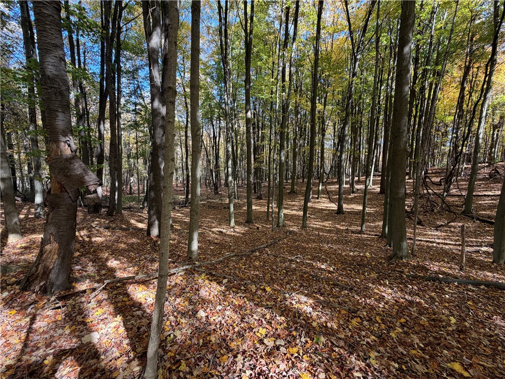 0 Eelpot Road Naples, NY 14512 - Photo 20 of 26