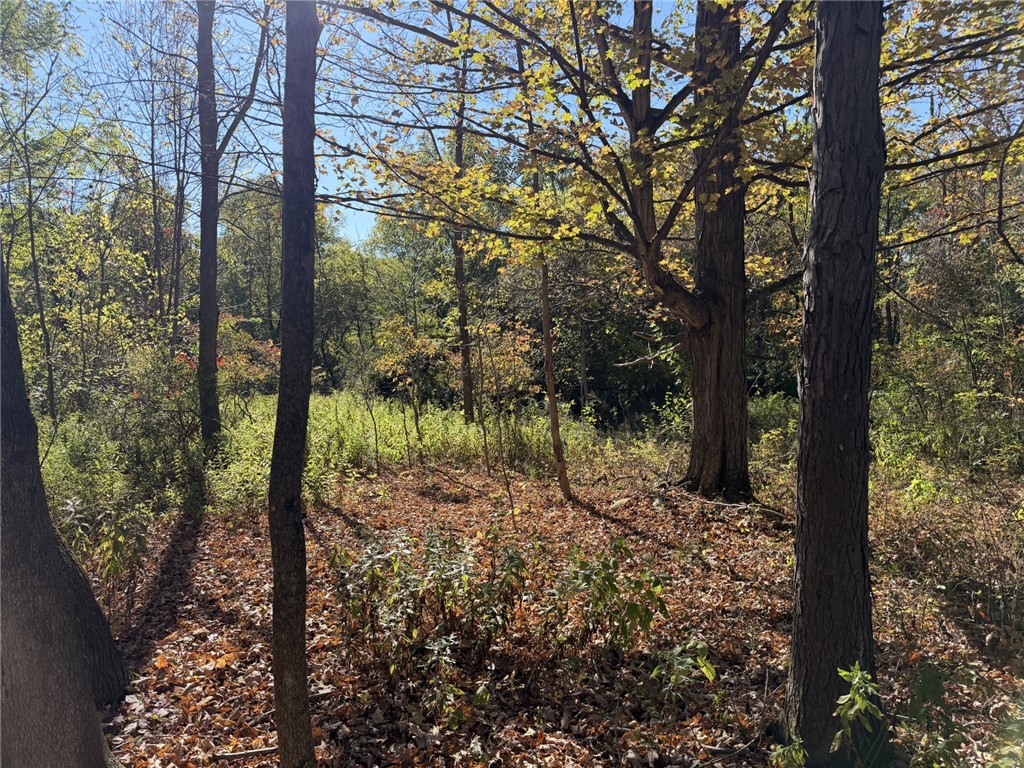 0 Eelpot Road Naples, NY 14512 - Photo 2 of 26