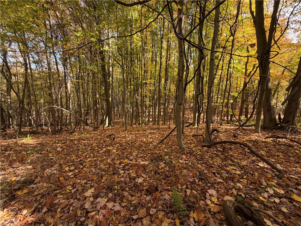 0 Eelpot Road Naples, NY 14512 - Photo 22 of 26