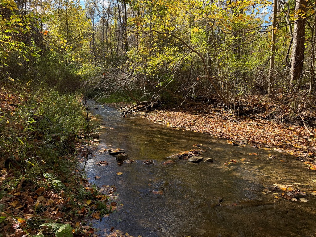 0 Eelpot Road Naples, NY 14512 - Photo 23 of 26