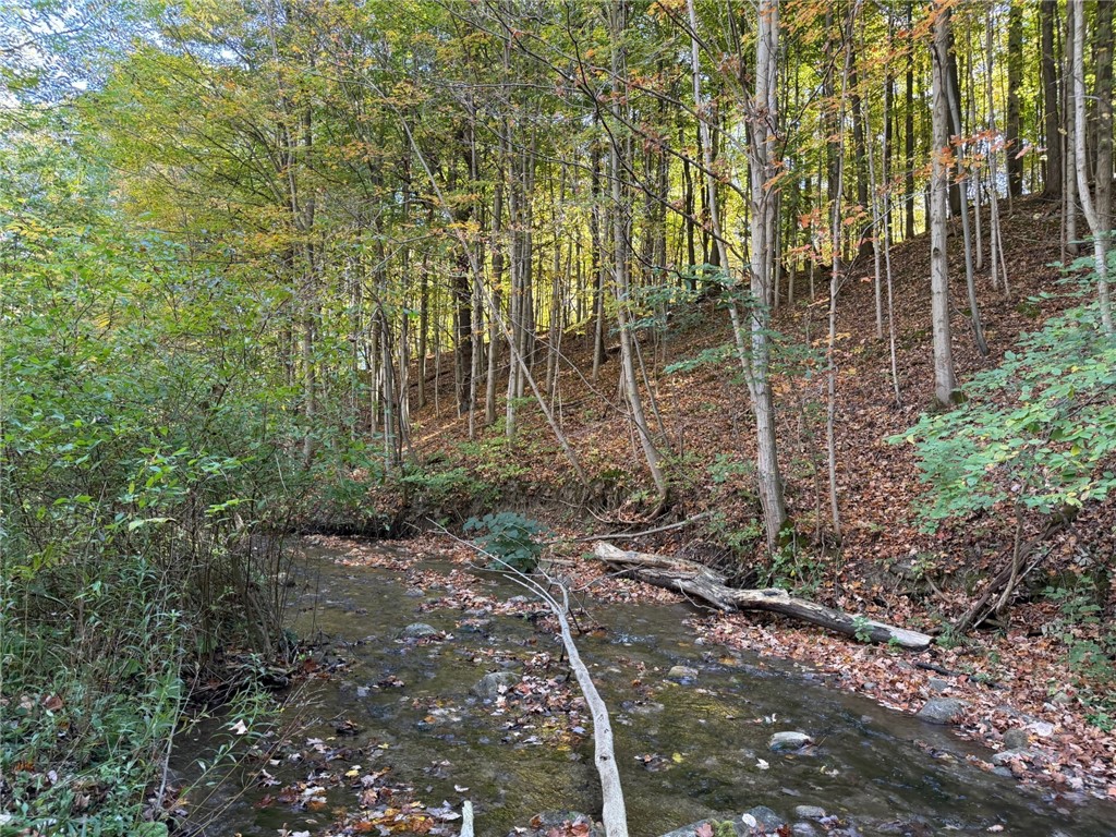 0 Eelpot Road Naples, NY 14512 - Photo 3 of 26