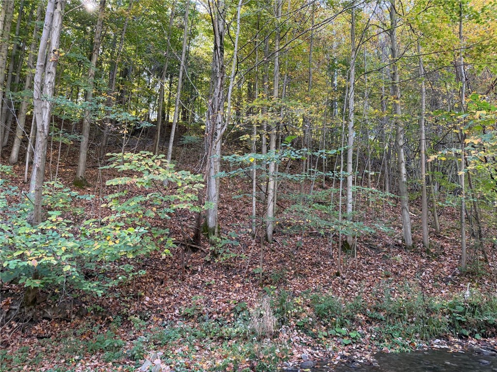 0 Eelpot Road Naples, NY 14512 - Photo 4 of 26