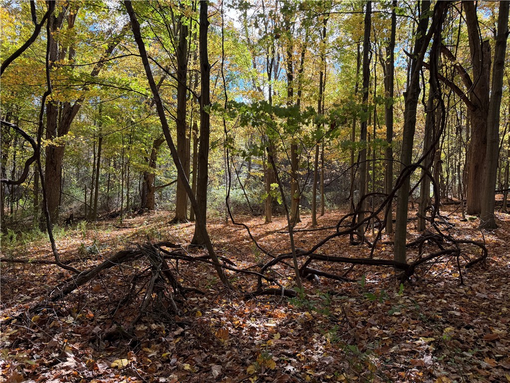 0 Eelpot Road Naples, NY 14512 - Photo 6 of 26