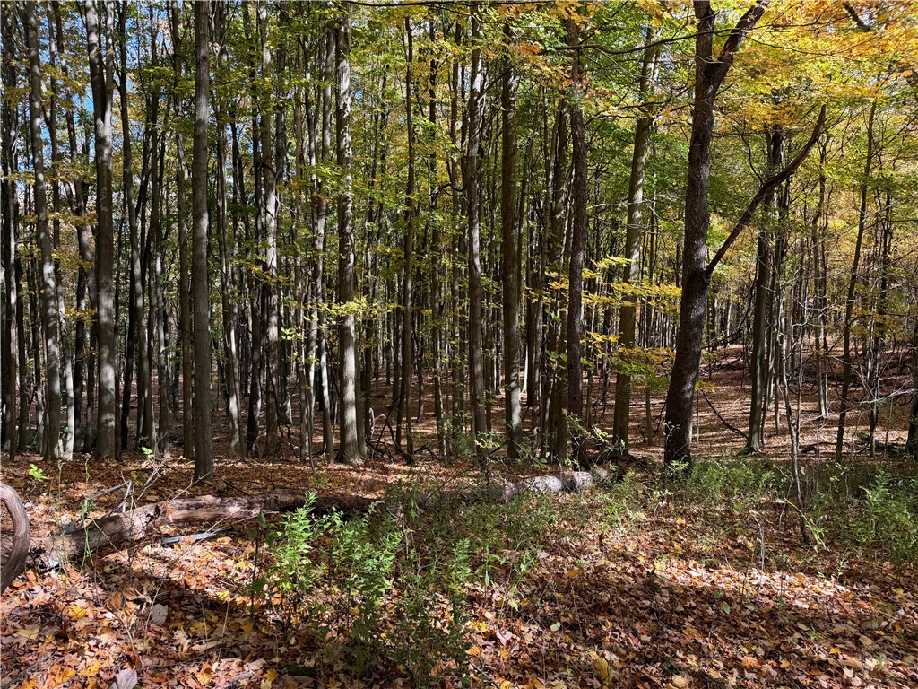 0 Eelpot Road Naples, NY 14512 - Photo 7 of 26