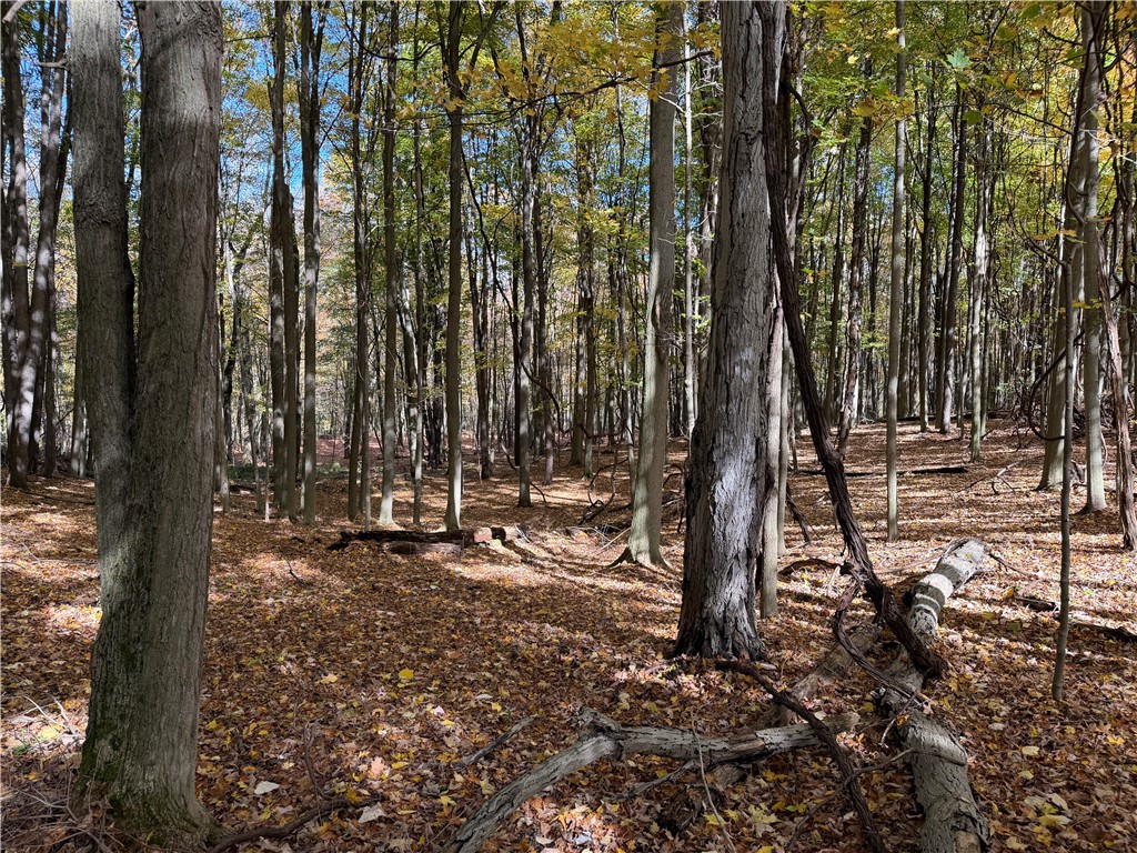 0 Eelpot Road Naples, NY 14512 - Photo 8 of 26