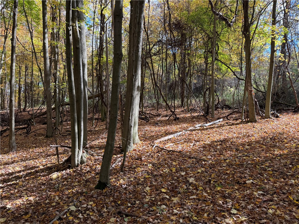 0 Eelpot Road Naples, NY 14512 - Photo 9 of 26