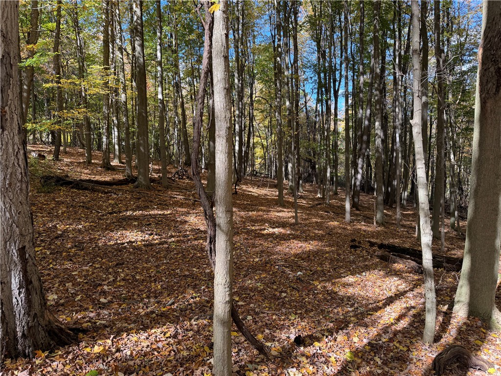 0 Eelpot Road Naples, NY 14512 - Photo 10 of 26