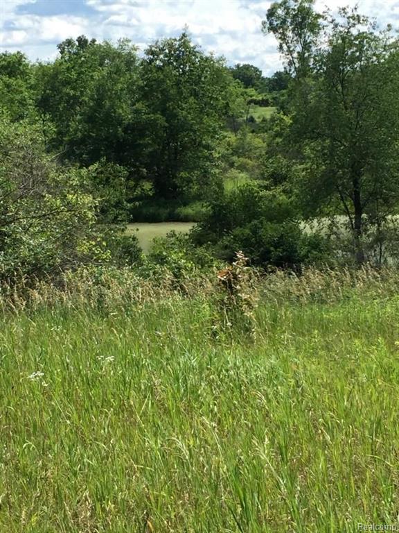 Parcel B Parker Road Holly, MI 48442 - Photo 3 of 18