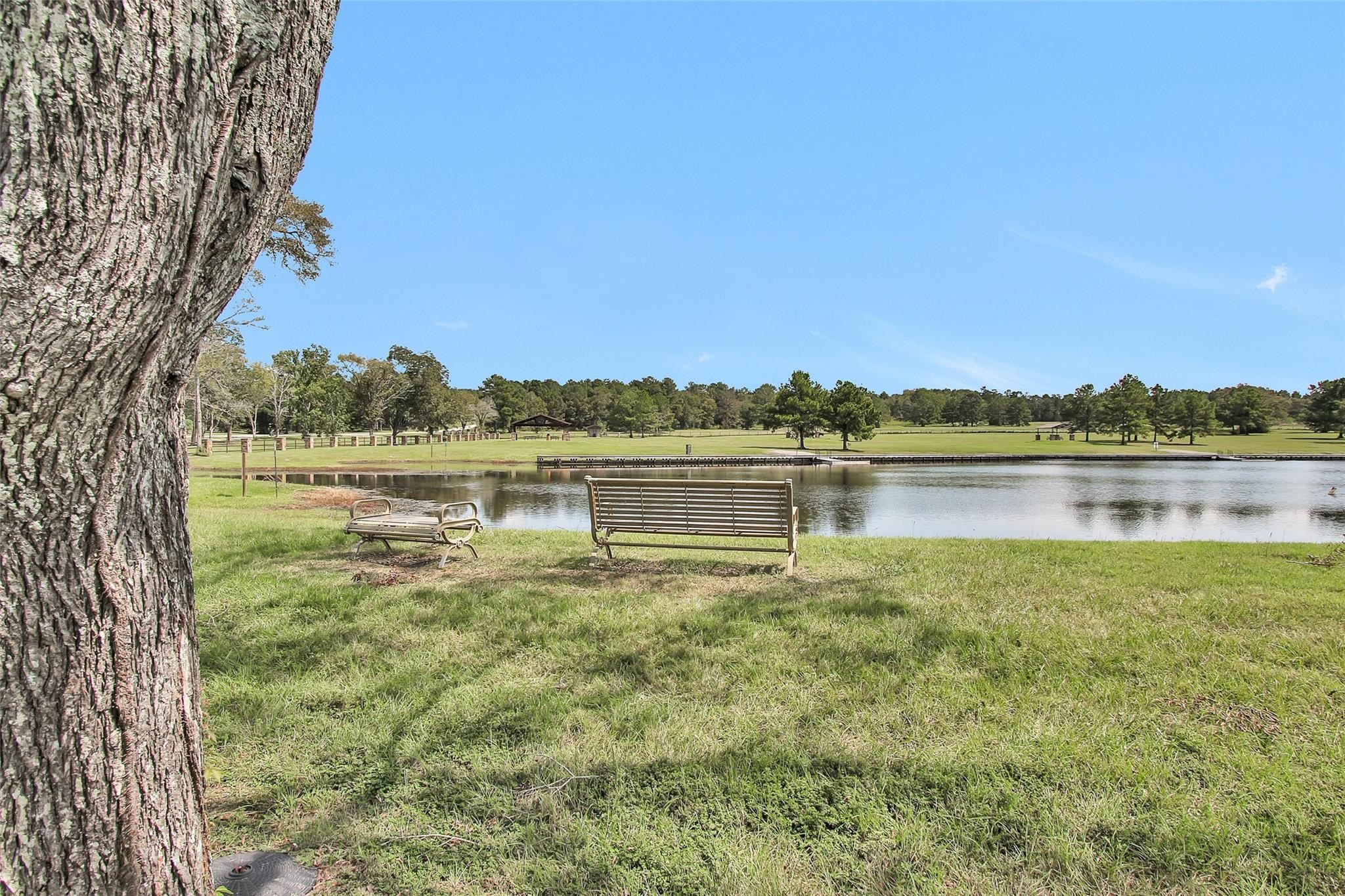 16163 Frst Ml Road Willis, TX 77378 - Photo 9 of 25
