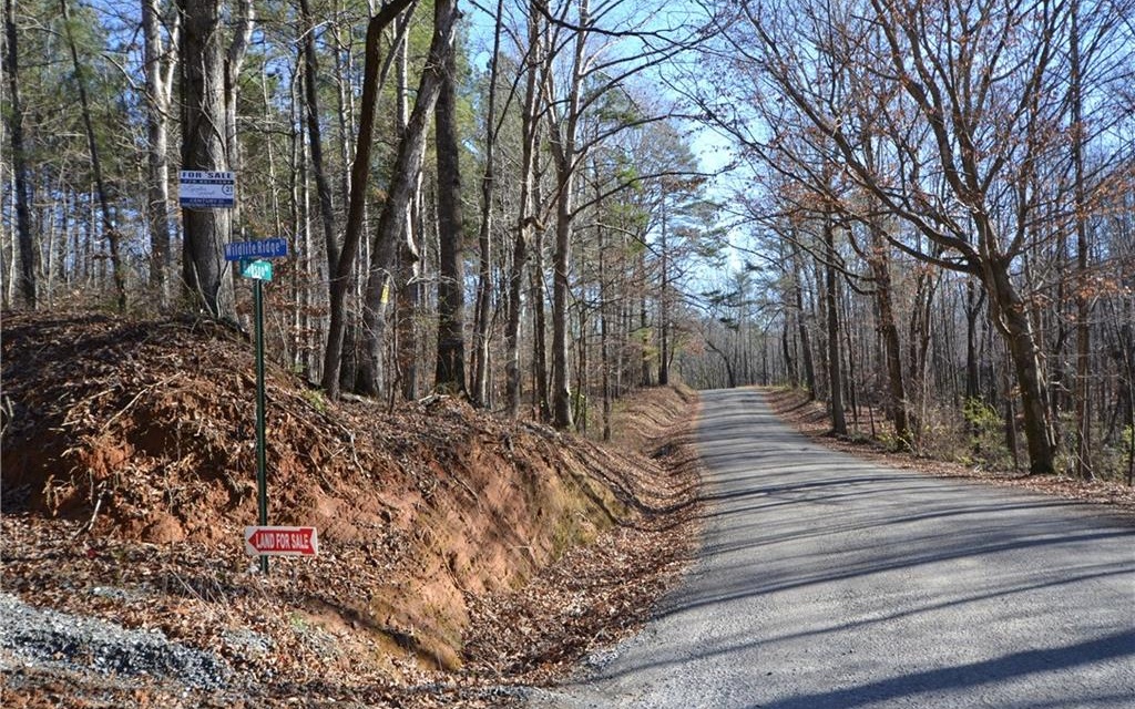 11 Wildlife Rdg Road Jasper, GA 30143 - Photo 1 of 4 Main View