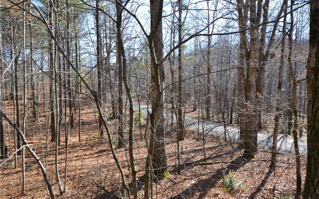 11 Wildlife Rdg Road Jasper, GA 30143 - Photo 2 of 4 Additional View