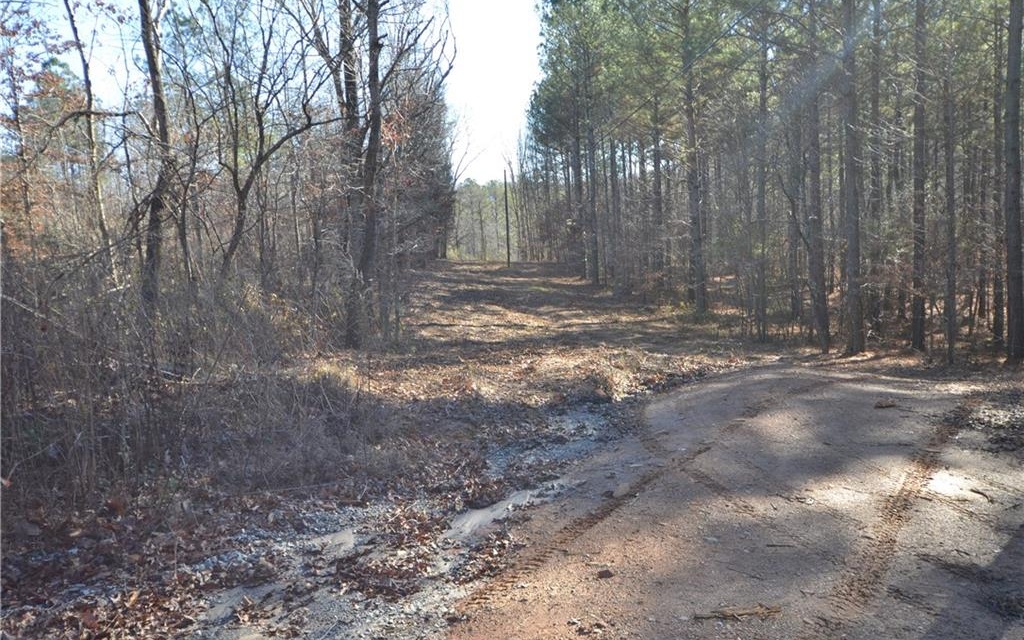 11 Wildlife Rdg Road Jasper, GA 30143 - Photo 3 of 4 Additional View