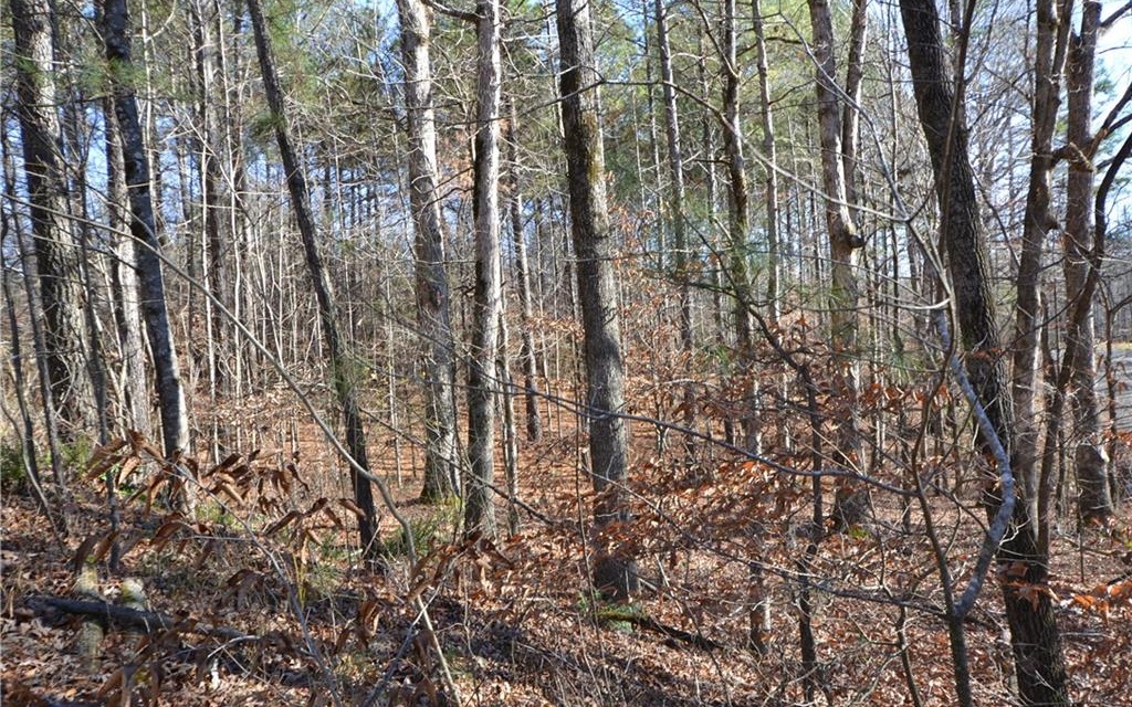 11 Wildlife Rdg Road Jasper, GA 30143 - Photo 4 of 4 Additional View